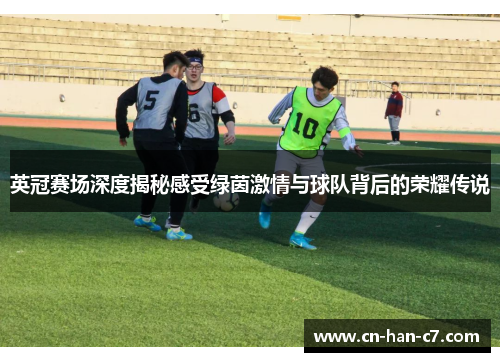 英冠赛场深度揭秘感受绿茵激情与球队背后的荣耀传说 英冠赛场深度揭秘感受绿茵激情与球队背后的荣耀传说