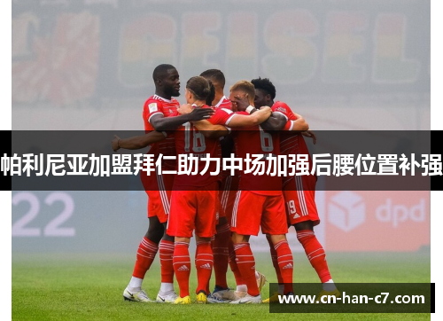 帕利尼亚加盟拜仁助力中场加强后腰位置补强
